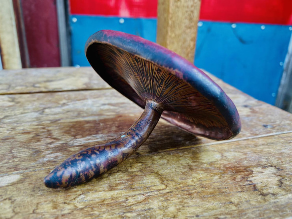 [銅板造形作品]紅いキノコ　Copper Mushroom 3枚目の画像