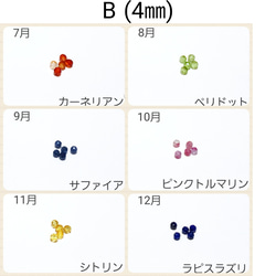  第6張的照片