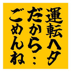 運転ヘタだからごめんね おもしろ カー マグネットステッカー 1枚目の画像