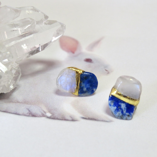 CHARMS