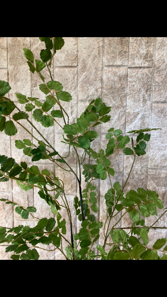光触媒　人工観葉植物　ウォールグリーン　フェイク　アレンジ　アジアンタム花器付とウンベラータ 2枚目の画像