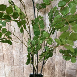 光触媒　人工観葉植物　ウォールグリーン　フェイク　アレンジ　アジアンタム花器付とウンベラータ 3枚目の画像