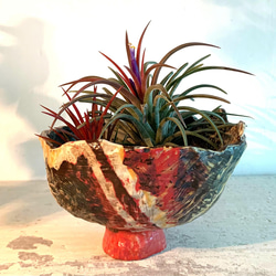 陶器の植木鉢を再生する_陶器の植木鉢 1枚目の画像