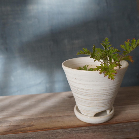 白いマットな釉薬の植木鉢　８　　送料無料 1枚目の画像
