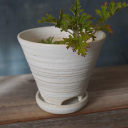 白いマットな釉薬の植木鉢　８　　送料無料 3枚目の画像