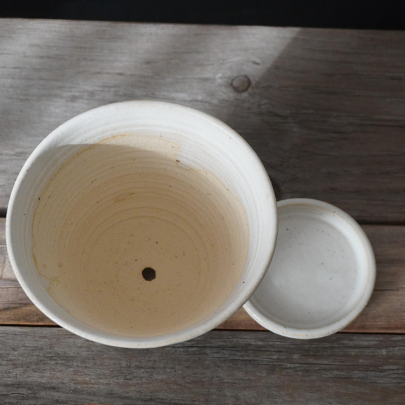 白いマットな釉薬の植木鉢　８　　送料無料 5枚目の画像