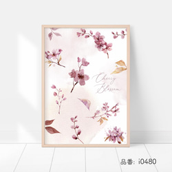 桜の花のポスター　/ i0480 / インテリアポスター 4枚目の画像