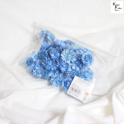 大地農場！ 10g乾花“藍蠟菊”永生花材料植物標本室時尚可愛禮物 第3張的照片