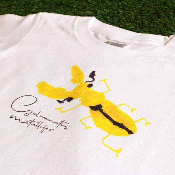 【キッズ】6歳昆虫キッズ デザインTシャツ｜クワガタイラスト｜半袖｜ 5枚目の画像