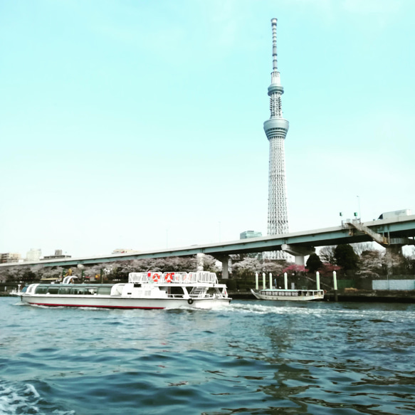 ＊送料無料＊ 《Tokyo Skytree》Japanese Scenery ましかくフォト 90×90 1枚目の画像