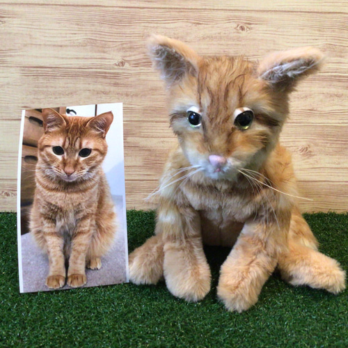 受注製作〉愛猫ちゃんオーダーメイドふわふわ 縫いぐるみ