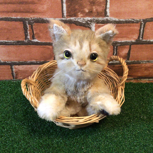 受注製作〉愛猫ちゃんオーダーメイドふわふわ 縫いぐるみ