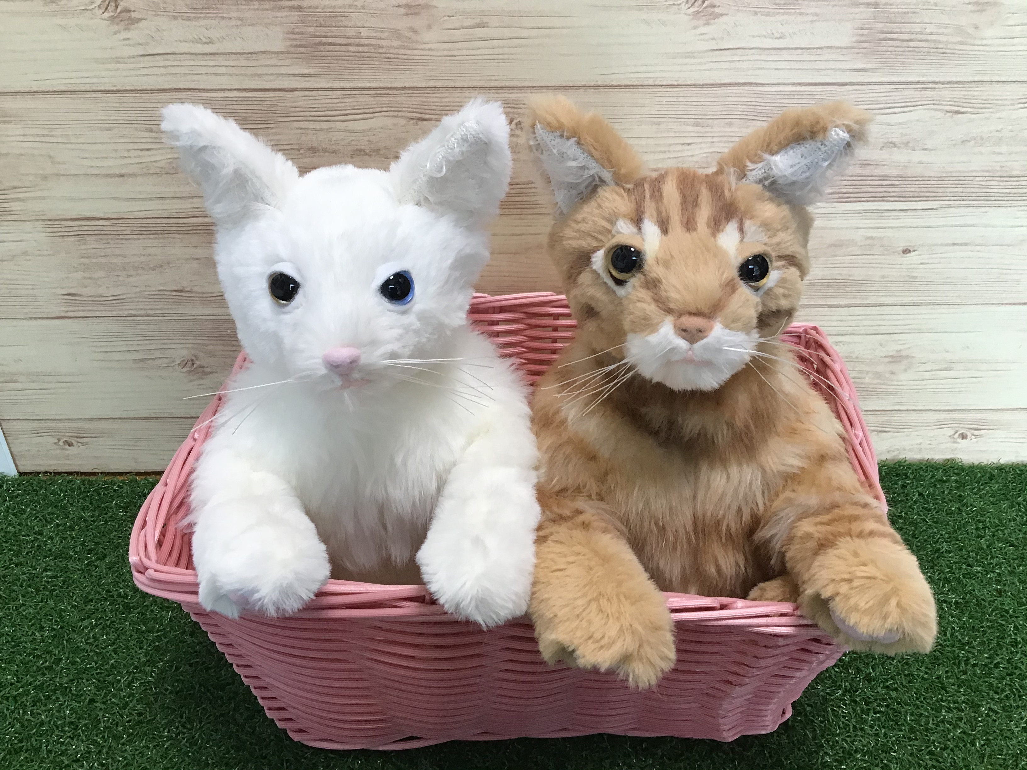 受注製作〉愛猫ちゃんオーダーメイドふわふわ 縫いぐるみ