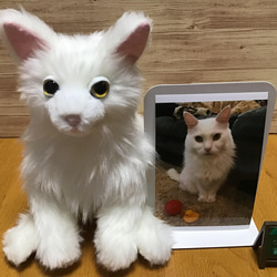 〈受注製作〉愛猫ちゃんオーダーメイドふわふわ 縫いぐるみ 17枚目の画像