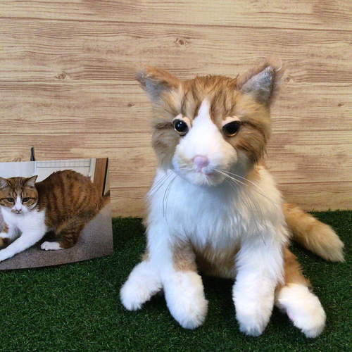受注製作〉愛猫ちゃんオーダーメイドふわふわ 縫いぐるみ