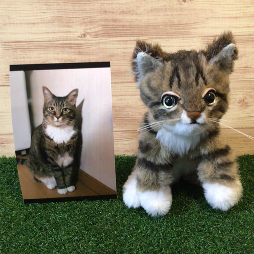 受注製作〉愛猫ちゃんオーダーメイドふわふわ 縫いぐるみ