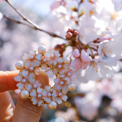 櫻花與棉珍珠花環胸針 [祖父母儀式與入學儀式，正式場合] 第12張的照片