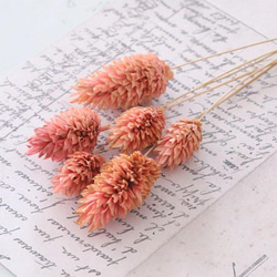 暖色系 ドライフラワー 花材セット 詰め合わせ 【A6】 プリザーブド