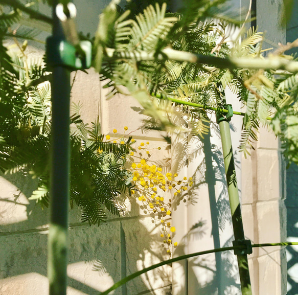 ミモザの花 ビンテージ風ネックレス 6枚目の画像