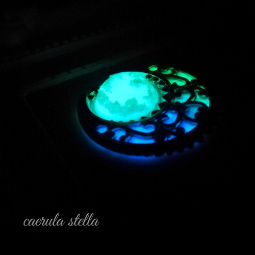 暗闇で光る【 天空 の 紋章 ポニーフック 】 レジン アクセサリー 蓄光