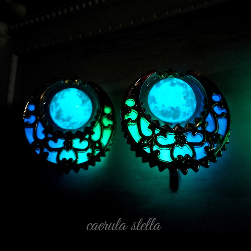 暗闇で光る【 天空 の 紋章 ポニーフック 】 レジン アクセサリー 蓄光