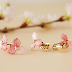 接待至6月18日◎限時銷售◎Hana Megumi繡球花耳環三瓣（Sakura Cassis）✳︎定做✳︎ 第6張的照片