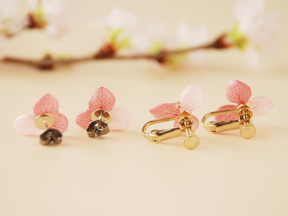 接待至6月18日◎限時銷售◎Hana Megumi繡球花耳環三瓣（Sakura Cassis）✳︎定做✳︎ 第7張的照片