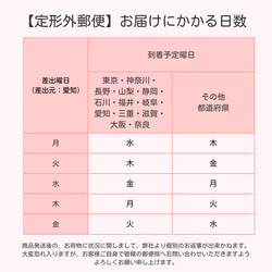 桜　さくらとカスミソウのコサージュ　入学式　謝恩会　合格願掛け　卒業式　宴会　193 12枚目の画像