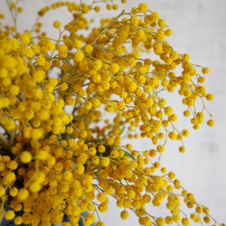 今期終了♦︎インテリアフラワー＊ドライミモザ×ネイビーブルー 4枚目の画像