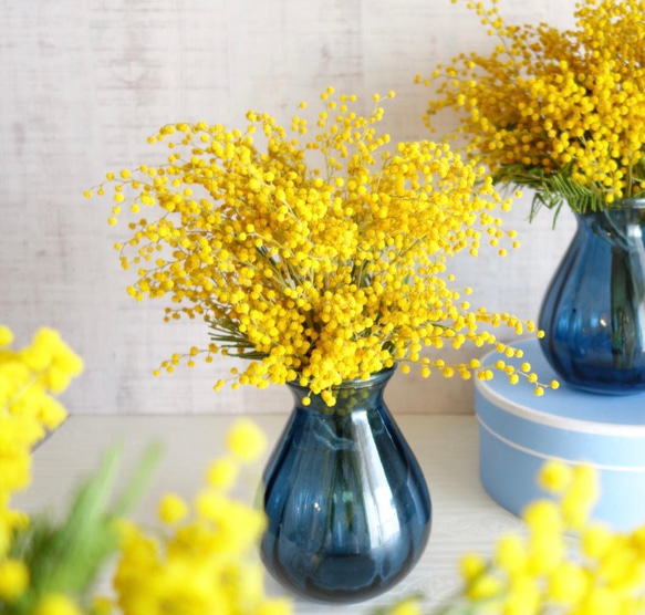 今期終了♦︎インテリアフラワー＊ドライミモザ×ネイビーブルー 2枚目の画像