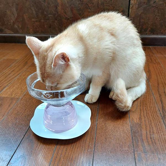 猫 フードボウル LOWタイプ ピンク 猫用食器 ガラス製 猫ごはん CAT