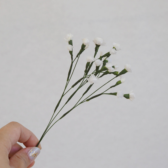 自分が使った花材事典：かすみ草 | 新・花の情報局のblog