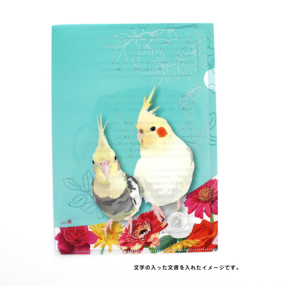 【A5】クリアファイル「オカメインコ & Flower」 3枚目の画像