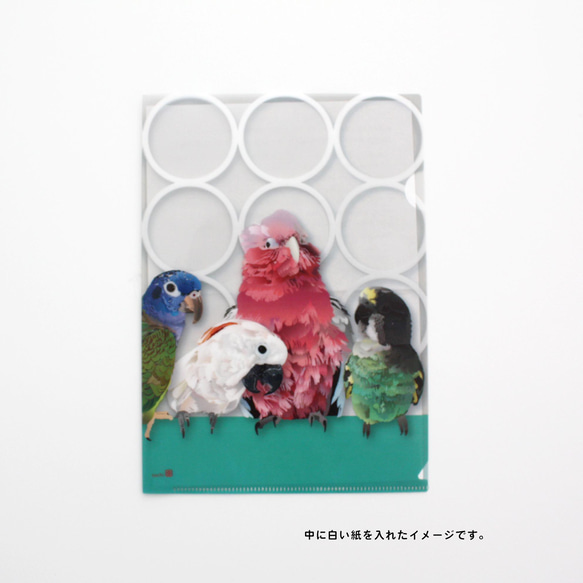 【A5】クリアファイル「Pallet of Birds」 3枚目の画像
