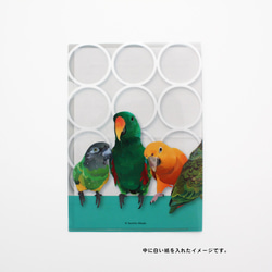 【A5】クリアファイル「Pallet of Birds」 4枚目の画像