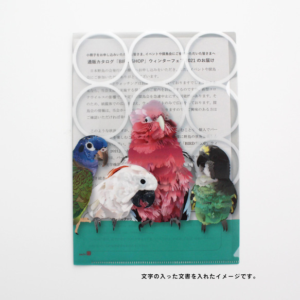 【A5】クリアファイル「Pallet of Birds」 5枚目の画像