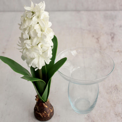 【造花】球根付きホワイトヒヤシンス単品【ガラス花瓶別売り】 7枚目の画像