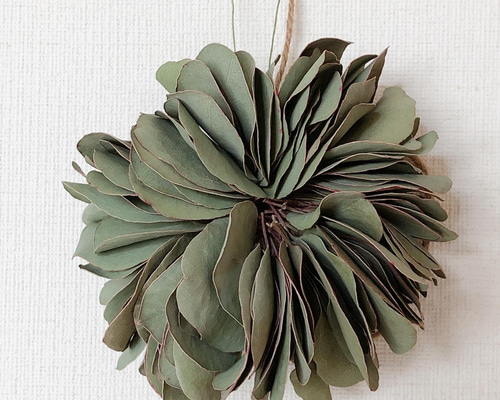 ボリューム ユーカリ ミルフィーユ フライング リース ドライフラワー