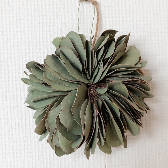 ボリューム ユーカリ ミルフィーユ フライング リース ドライフラワー