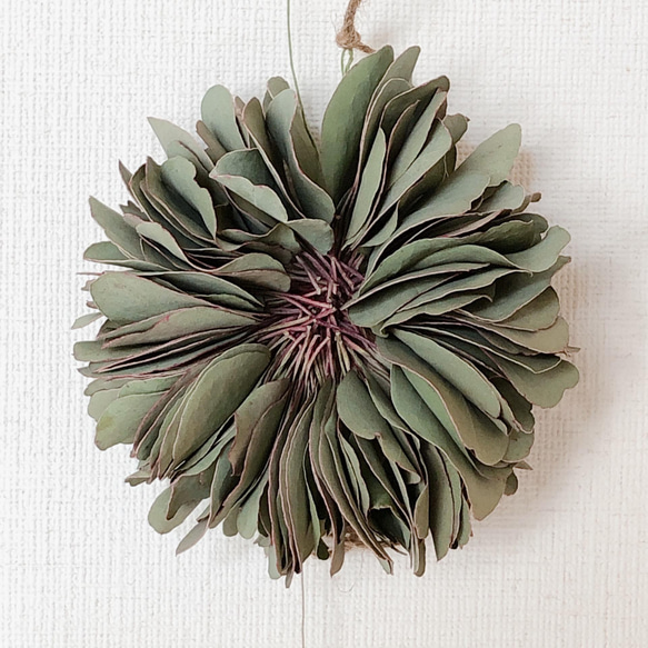 ボリューム ユーカリ ミルフィーユ フライング リース ドライフラワー