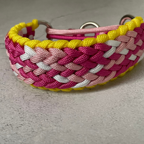 首輪一体型✳パラコードリード　ROWA☆ 230c34918dad2c52531a28eccdff1c