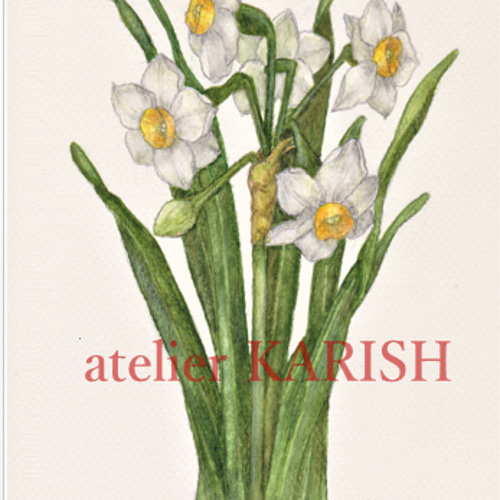 水彩画原画【水仙】A5サイズ イラスト atelier KARISH 通販 水彩画原画【水仙】A5サイズ イラスト atelier KARISH 通販