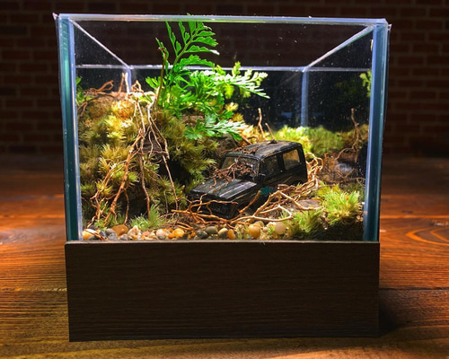 ジオラマ×テラリウム作品 『放置車両の情景』 テラリウム コケリウム