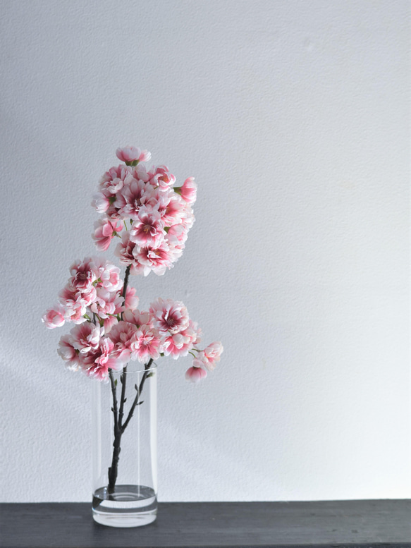 咲き続ける桜(山桜)　グラデーションピンク　マジカルウォーター　癒しのフラワーインテリア　お花見　 2枚目の画像