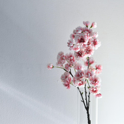 咲き続ける桜(山桜)　グラデーションピンク　マジカルウォーター　癒しのフラワーインテリア　お花見　 3枚目の画像