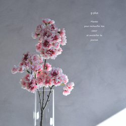 咲き続ける桜(山桜)　グラデーションピンク　マジカルウォーター　癒しのフラワーインテリア　お花見　 1枚目の画像