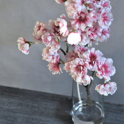 咲き続ける桜(山桜)　グラデーションピンク　マジカルウォーター　癒しのフラワーインテリア　お花見　 4枚目の画像