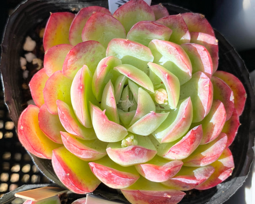 7b988267819c792584a1d69f3abb8b