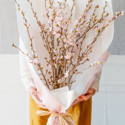 【おうちお花見に最適】本物のさくらの枝を可愛い色でラッピング　おまかせ桜の枝60cm × 10本セット 1枚目の画像