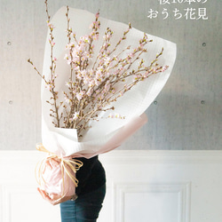 【おうちお花見に最適】本物のさくらの枝を可愛い色でラッピング　おまかせ桜の枝60cm × 10本セット 3枚目の画像